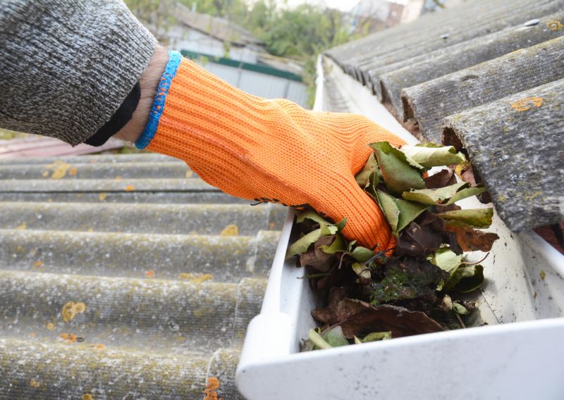 Gutter Leaves Removal in Arvada, CO